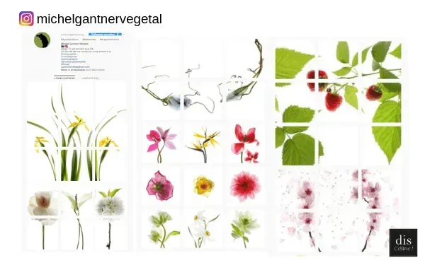Styles de Feed Instagram : à vous de choisir ?