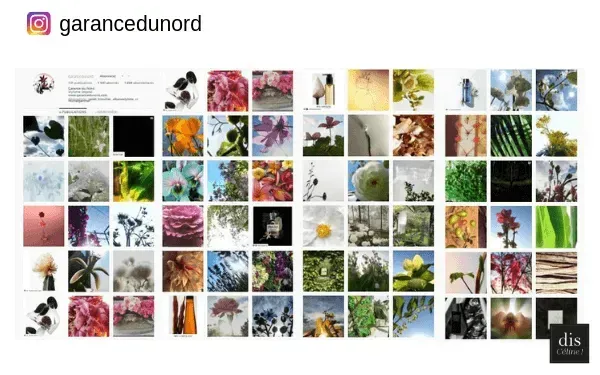 Styles de Feed Instagram : à vous de choisir ?