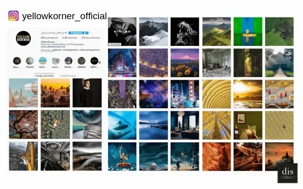 Styles de Feed Instagram : à vous de choisir ?